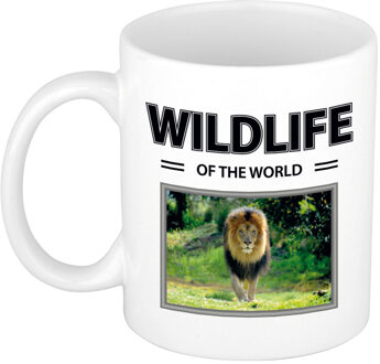 Foto mok Leeuw mok / beker - wildlife of the world cadeau Leeuwen liefhebber - feest mokken Wit