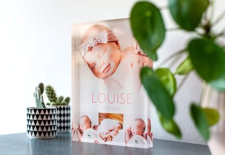 Foto op Acryl Staand