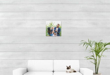 Foto op aluminium geborsteld 40 x 40 cm