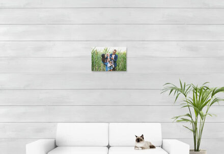 Foto op aluminium geborsteld 45 x 30 cm