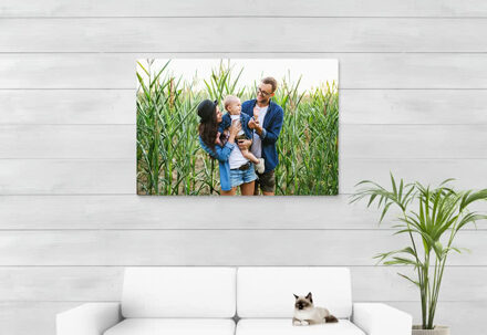 Foto op aluminium wit 120 x 80 cm