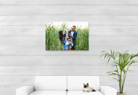 Foto op aluminium wit 90 x 60 cm