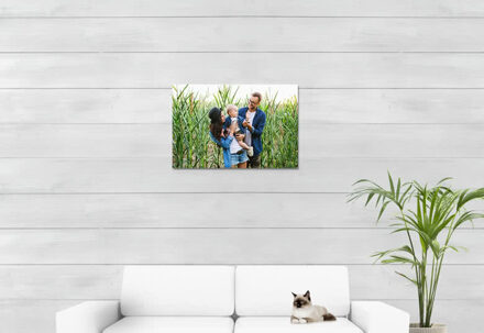 Foto op forex 75 x 50 cm