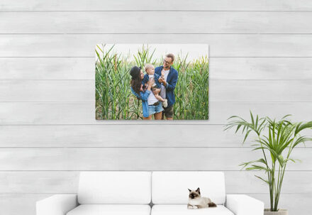 Foto op geborsteld aluminium 105 x 70 cm