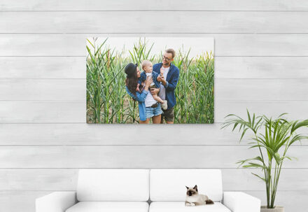 Foto op geborsteld aluminium 120 x 80 cm