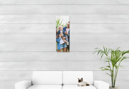 Foto op geborsteld aluminium 30 x 80 cm