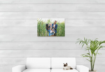 Foto op geborsteld aluminium 75 x 50 cm