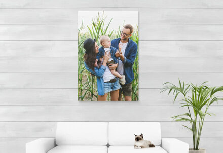 Foto op geborsteld aluminium 80 x 120 cm