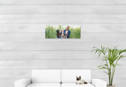 Foto op geborsteld aluminium 80 x 30 cm