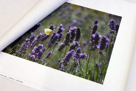 Foto op los canvas doek 45x45 cm