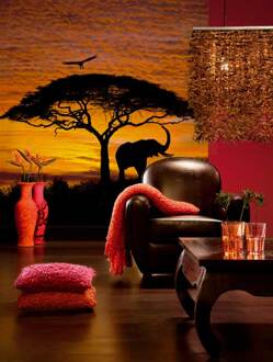 Fotobehang - African Sunset National Geographic 194x270cm - Papierbehang Multikleur
