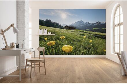 Fotobehang - Alpenglück 400x280cm - Vliesbehang Multikleur