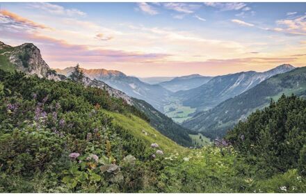 Fotobehang - Alps 400x250cm - Vliesbehang Multikleur