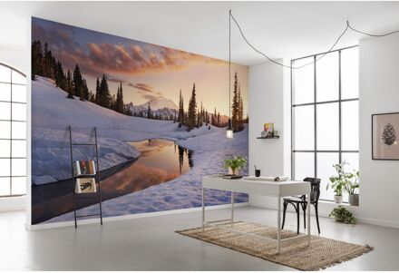 Fotobehang - America the Beautiful 450x280cm - Vliesbehang Multikleur