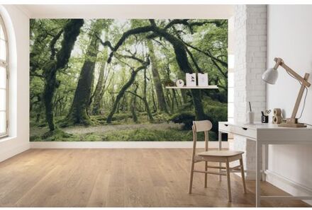 Fotobehang - Ancient Green 450x280cm - Vliesbehang Multikleur