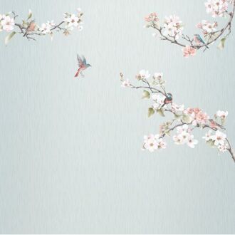 Fotobehang - Apple Bloom 250x250cm - Vliesbehang Multikleur