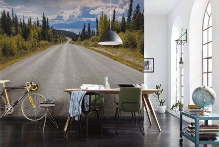 Fotobehang - Atlin Road 368x254cm - Papierbehang Multikleur