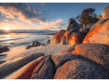 Fotobehang - Bay of Fires 400x280cm - Vliesbehang Multikleur