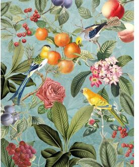 Fotobehang - Birds and Berries 200x250cm - Vliesbehang Multikleur