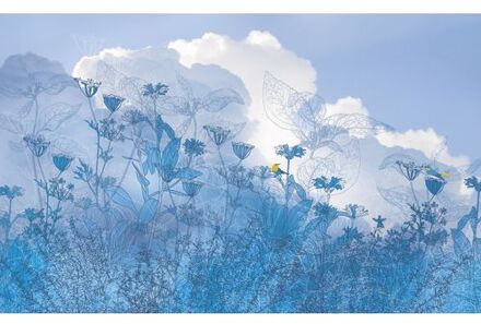 Fotobehang - Blue Sky 400x250cm - Vliesbehang Multikleur