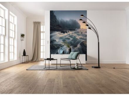 Fotobehang - Cry of the Sea 200x280cm - Vliesbehang Multikleur