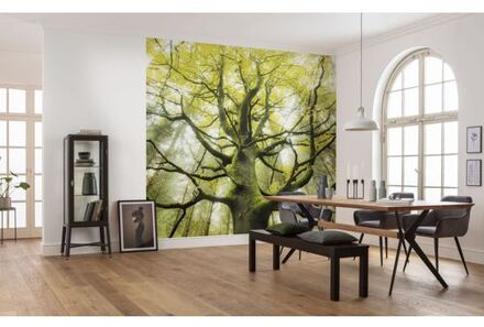 Fotobehang - Der Traumbaum 450x280cm - Vliesbehang Multikleur