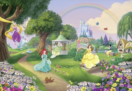 Fotobehang - Disney Princess Rainbow 368x254cm - Papierbehang Multikleur