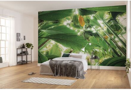 Fotobehang - Dschungeldach II 450x280cm - Vliesbehang Multikleur