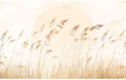 Fotobehang - Dune Grass 400x250cm - Vliesbehang Multikleur