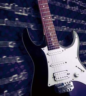 Fotobehang - Electric Guitar 225x250cm - Vliesbehang Divers - 225x250 cm