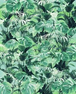 Fotobehang - Evergreen 200x250cm - Vliesbehang Multikleur