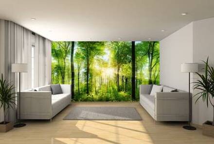 Fotobehang expositie kwaliteit 250x1010 cm