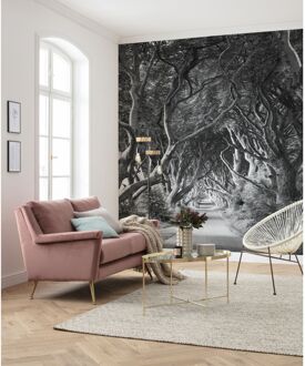 Fotobehang - Forevenue 250x280cm - Vliesbehang Multikleur