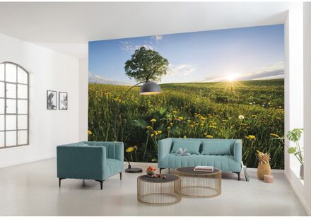 Fotobehang - Frühling auf dem Land 450x280cm - Vliesbehang Multikleur