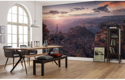 Fotobehang - Grand View 450x280cm - Vliesbehang Multikleur