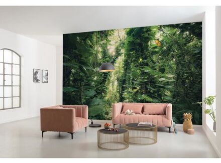 Fotobehang - Green Leaves 450x280cm - Vliesbehang Multikleur