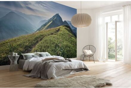 Fotobehang - Green Vein 400x250cm - Vliesbehang Multikleur