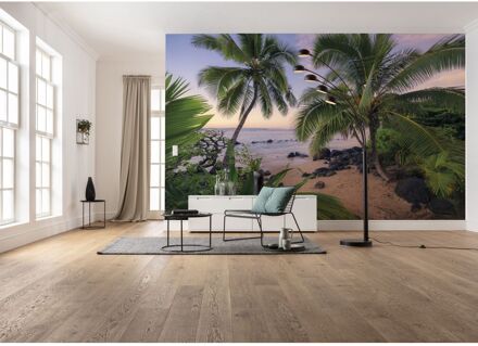 Fotobehang - Hawaiian Dreams 450x280cm - Vliesbehang Multikleur