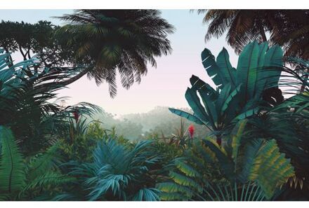 Fotobehang - Jungle Morning 400x250cm - Vliesbehang Multikleur