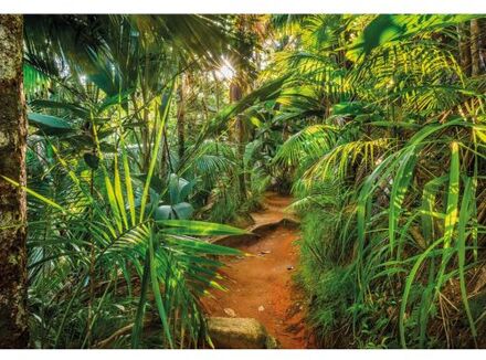 Fotobehang - Jungle Trail 368x254cm - Papierbehang Multikleur