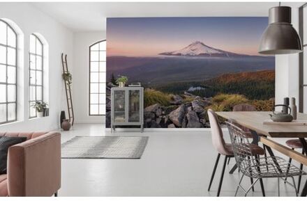 Fotobehang - Kingdom of a Mountain 450x280cm - Vliesbehang Multikleur