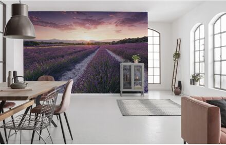 Fotobehang - Lavender Dream 450x280cm - Vliesbehang Multikleur