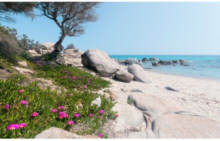 Fotobehang - Mediterrane Träume 450x280cm - Vliesbehang Multikleur