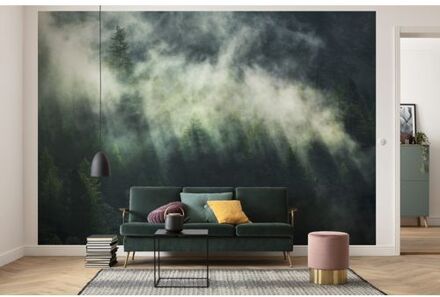 Fotobehang - Misty Crowns 350x250cm - Vliesbehang Multikleur