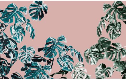 Fotobehang - Monstera Rosé 400x250cm - Vliesbehang Multikleur