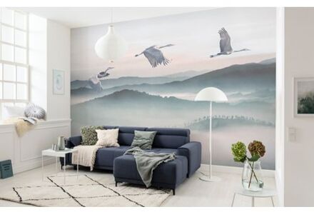 Fotobehang - Mystic Cranes 400x280cm - Vliesbehang Multikleur