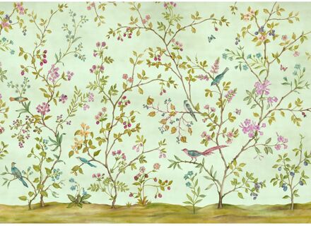 Fotobehang - Oiseaux du Paradis 350x250cm - Vliesbehang Multikleur