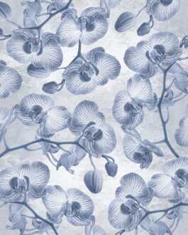 Fotobehang - Orchidée 200x250cm - Vliesbehang Multikleur