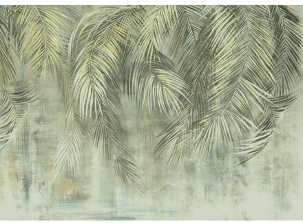 Fotobehang - Palm Fronds 350x250cm - Vliesbehang Multikleur