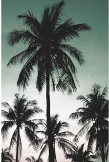 fotobehang palmbomen petrolgroen Blauw